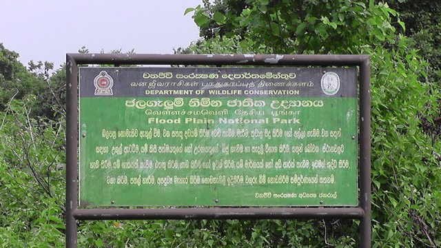 polonnaruwa-www-nethnews-lk003