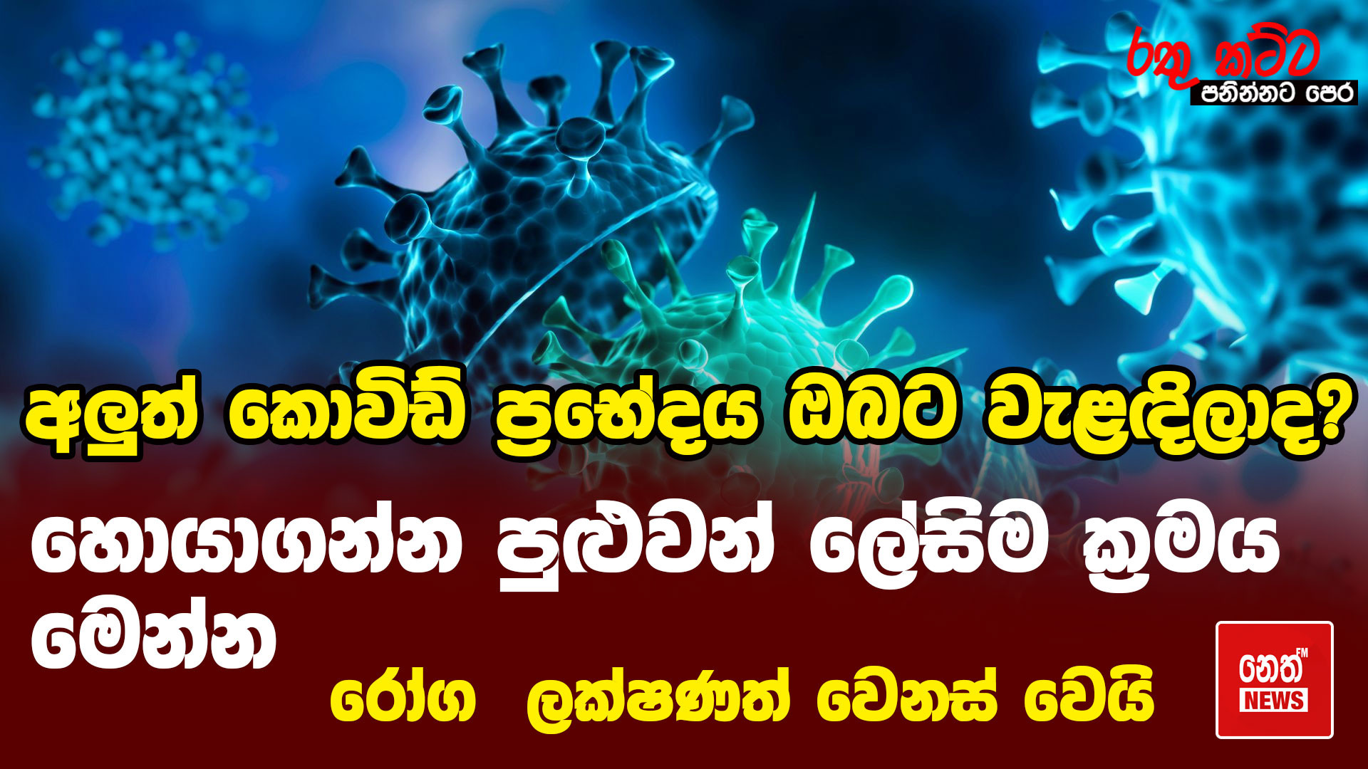 Neth News Sri Lanka Latest Sinhala News And Headlines Sri Lanka News අලුත් කොවිඩ් ප් 2001